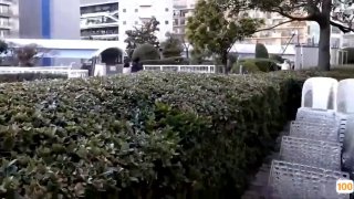 在线理论片有腰窝小骚货完美骑乘到内射